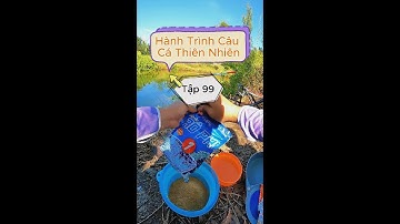 Câu Đài | Câu Rô Phi Nước Mặn | Huyfishing