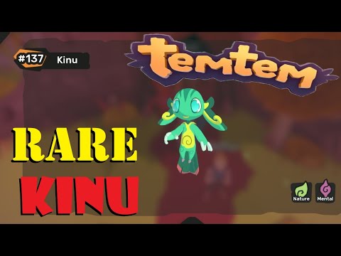 kinu temtem