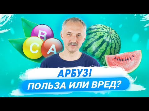 Неизвестные факты и спорные вопросы об арбузах. Всё, что важно знать / Доктор Виктор