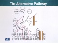 BIO201 Cell Biology Lecture No 140