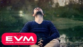 Mehmet Akyüz - Ciğerimin Köşesi Resimi