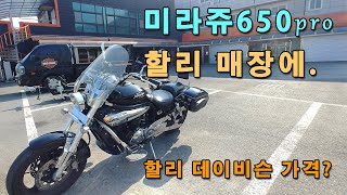 할리 바이크 / 용품 가격 실화냐?