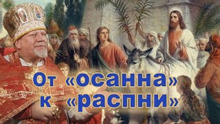 От «осанна» - к «распни». Проповедь священника Георгия Полякова в Вербное воскресенье.