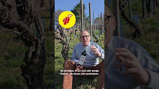 Weinwelt I Wein des Monats mit Frank Kämmer I April I NETTO