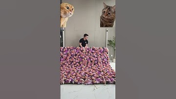 How to Setup a Stunning Flower Backdrop for Any Occasion