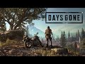 Days Gone. Гриндим и чилим