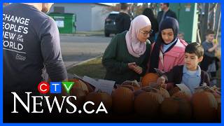 Calgary business gives away 3,000 pumpkins