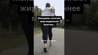 #факты #человек #shorts