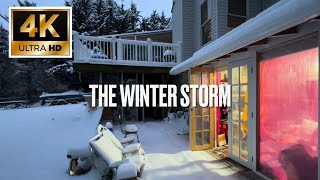 The winter storm - 4K