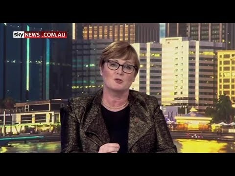 Senator Linda Reynolds stumbles over the government's 'deliberate feature of economic architecture'