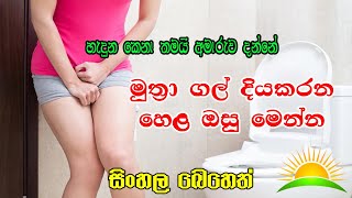 මුත්‍රා ගල් දියකරන දේශිය ඔසු | Muthra Gal Diyakarana Deshiya Osu | සිංහල බෙහෙත් | Arunalu