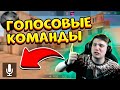 СЛИВ ГОЛОСОВЫХ КОМАНД В STANDOFF 2 0.16.0 DRAGON RISE | #DragonRise