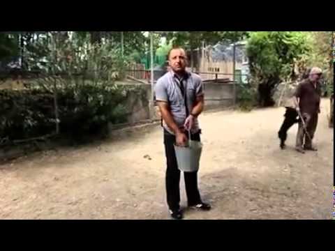 მშიშარა შუმბა, ეს ბოკვერი უქმნიდა არა ხალხს საფრთხეს?