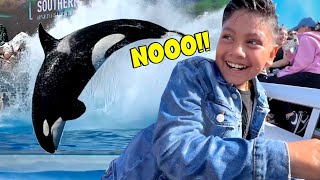 UNA BALLENA NOS ATACA | Visitamos el SeaWorld de San Diego | Family Juega