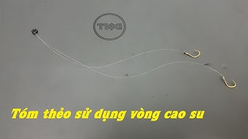 Hướng dẫn cách tóm thẻo câu đài sử dụng vòng cao su