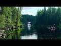 р. Войница 2021 г.
