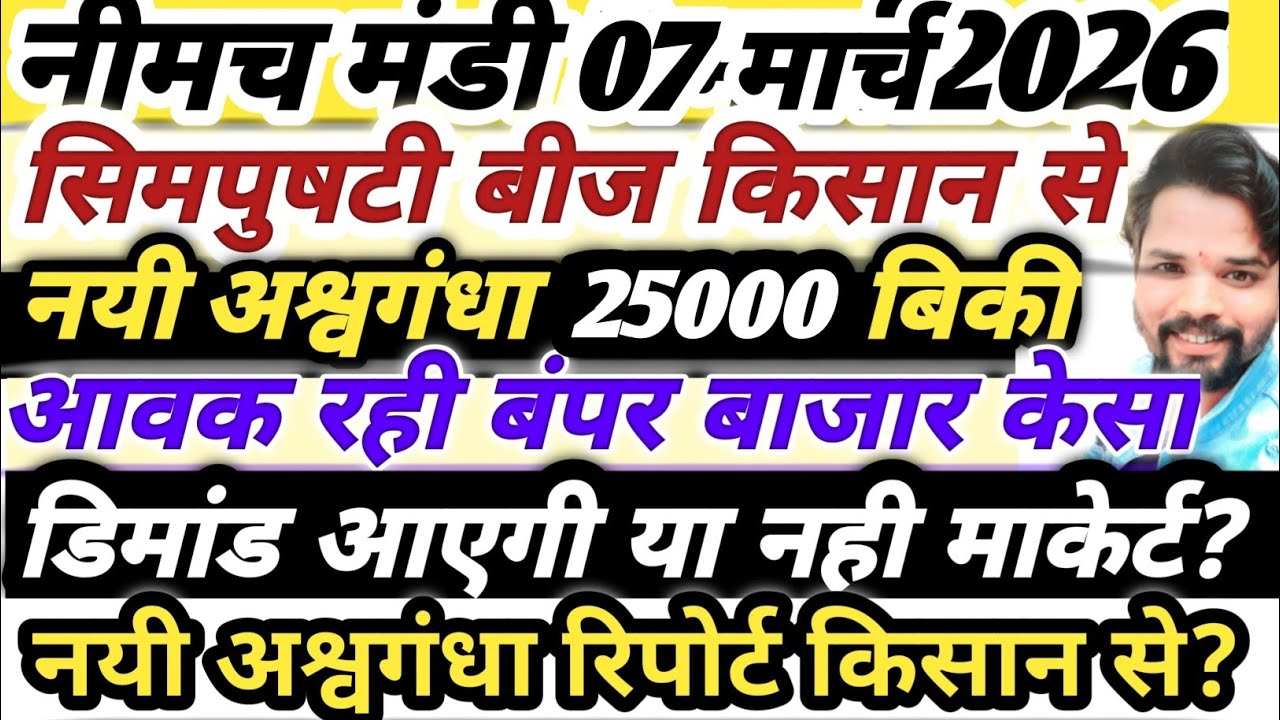 नीमच मंडी भाव। आज का नयी असगंध जड़ का भाव। Ashwagandha ka bhav neemuch mandi asgandh bhav today 