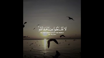 حالات واتس أب قران كريم   بصوت  القارئ سمير عزت Surah Zumer