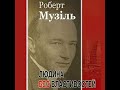 Robert Musil The Man Without Qualities