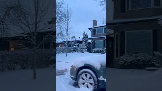 Calgary LIFE monthly recap in 60 seconds #snow #alberta #winter #realestateinvestingcanada