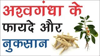 Ashvgandha ke Fayde or Nuksan I अश्वगंधा के फायदे और नुक्सान