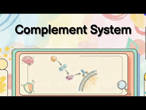 Immunology 101 | Complement system - YouTube