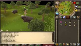 ULTIMATE SOULSPLIT 1&2 HUNTER GUIDE, BEST XP, BEST METHODS