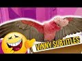 MY CRAZY TALKING COCKATOO VINNY, THROWS A TANTRUM OVER A BOX! ** SUBTITLES**