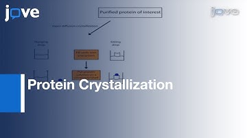 Protein Crystallization For X-ray Crystallography l Protocol Preview