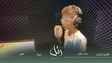 القارئ الشبل محمد عقيل | سورة  الفجر