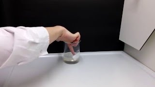 Toluene + Styrofoam, experiment