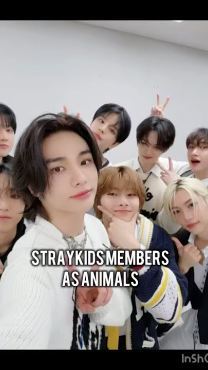 Stray kids members as animals #fypシ゚viral #trending #straykids #stay #shorts #edit #animals