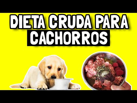 Video: Lista De Verificación Para Cachorros Nuevos