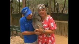 Robert Fuller Holds a Koala