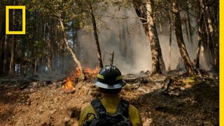 Controlled Bush Fire Burn | Rebuilding Paradise