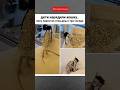#memes #смешновидео #смех #юмор #comedy #funny #funnyvideos #youtubeshorts #viral #мемы #приколы