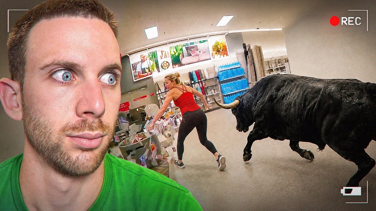 The Scariest Animal Rampages…