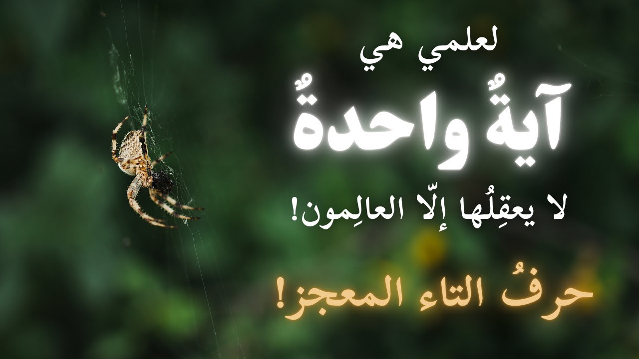 هي الآيةُ الوحيدة في كتاب الله التي تذكر صراحةً أنها لا يعقلها إلَّا العالمون! إعجازها في حرف التاء