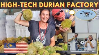 INSIDE a Durian Factory in Malaysia 🇲🇾 screenshot 3