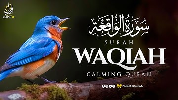 Best Relaxing Quran | Surah Waqiah سورة الواقعة | Amazing Voice | Peaceful Quran TV