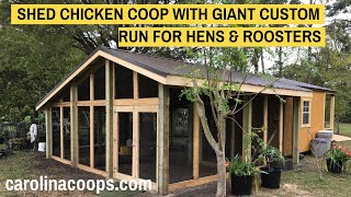 Shed Chicken Coop with Giant Custom Run for Hens & Roosters