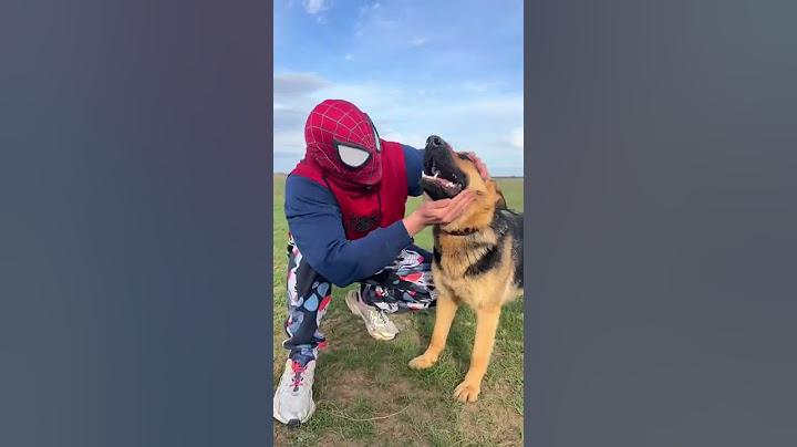 Spiderman and Dog❤️😭#shorts