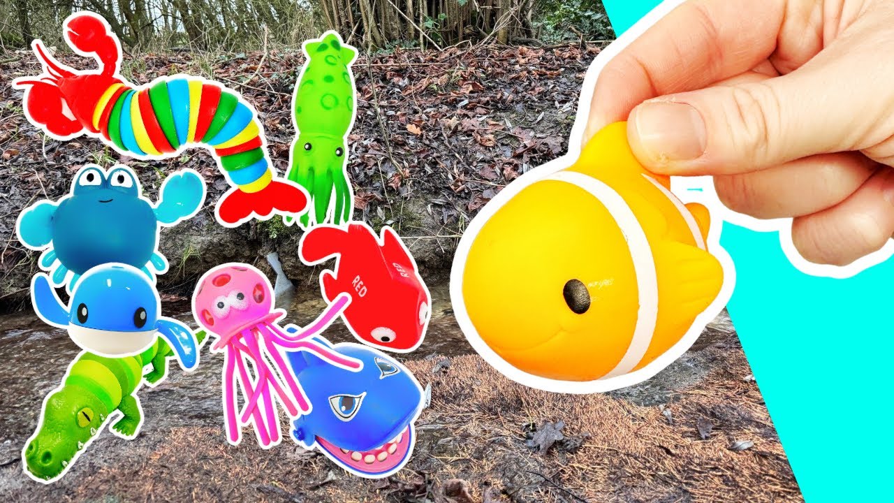 Learn Sea Animal Names at the Stream for Babies Toddlers Preschoolers ...
