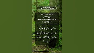 Surah An-Naml - سورة النمل  | Surah No 27 | Ayat No 62 | Parah 19-20 #Quran #IslamicReminder #Dua