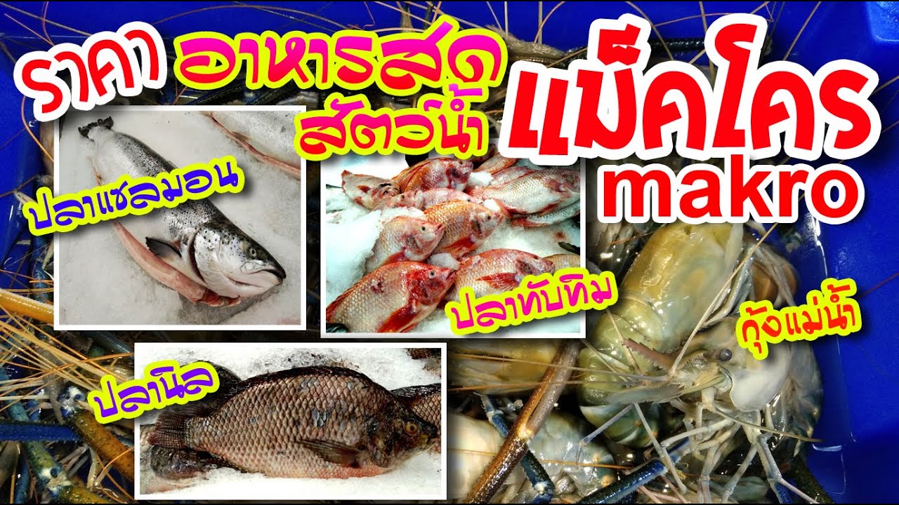 ราคาอาหารสด ปลาแซลมอน ปลานิล ทับทิม ปลาช่อน ปลาดุก กุ้ง ปูม้า หอย กบ ห้างแม็คโคร makro  @ikidartTV