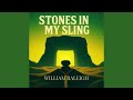 William Raleigh - STONES IN MY SLING (Official Audio)