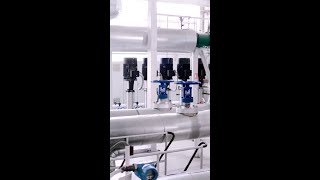 Uniform flow in parallel reactor systems