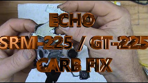 ECHO SRM-225 ,  GT-225   Wont Start   Easy Fix   Carb Repair Kit   Primer & Lines