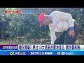 中國十大惠台措施