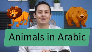 Animals in Arabic - listen to Arabic vocabulary